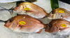 「魚魚市場鮮魚コーナーおすすめは「ヒラメ・ヒオウギ貝」です♪」