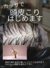 「8月予約状況とキャンペーンのお知らせ」