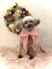 むぎちゃん／プードル「Happy New Year 」
