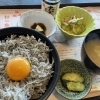 しらす丼