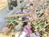 「今しか見れない！金峯神社の「花手水（はなちょうず）」はこちら！！」