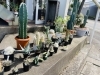 可愛い多肉植物♪「植物初心者でもOK！観葉植物の事ならglowlab(グロウラボ)さんへ♪」