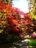 智識寺「🍁紅葉の様子Vol.2🍁【戸倉上山田温泉　有田屋旅館　長野県　紅葉旅】」