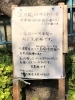 看板「【編集部ニュース】淀水路の『河津桜』は、今週中から見頃になるのでは‼　＠京ちゃんの伏見ヒストリー日記 　」