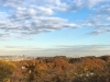 川崎の紅葉狩り特集 隠れた紅葉の名所 生田緑地 の絶景スポットをご紹介 テイクアウトグルメ情報あり まいぷれ 川崎市