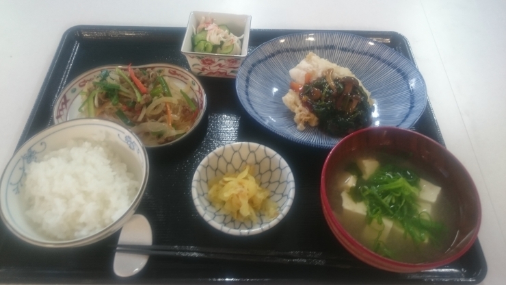 「ラポールしらゆきの森    夕食」