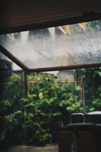 「雨…私たちを潤してくれてるんだなぁ〜」