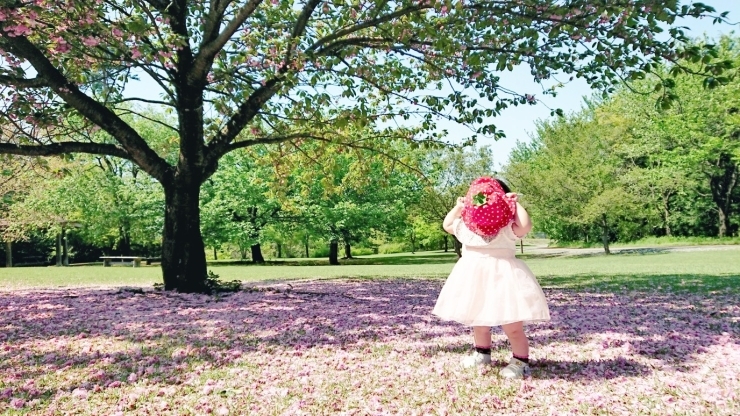 「【婚活】男性の皆さん、子供が欲しいと思うなら」