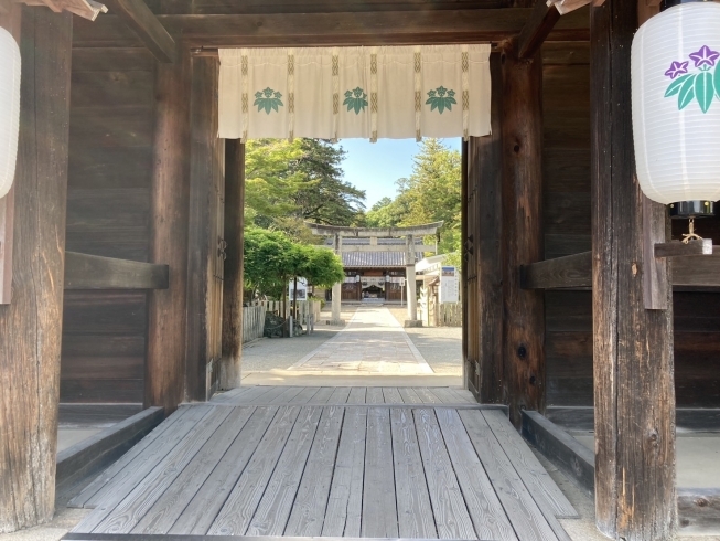 「多田神社で撮影された日向坂46のミュージックビデオが公開されました✨」