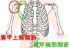 肩や腕が上がらない 四十肩かな 手技整体院 咲蛙のニュース まいぷれ 船橋市