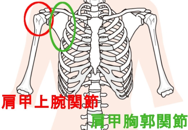 「肩や腕が上がらない… 四十肩かな？」