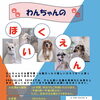 ♥ わんちゃんのほいくえん始めます ♥ 【周南市トリミング 徳山トリミング】