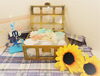 「2019★夏」