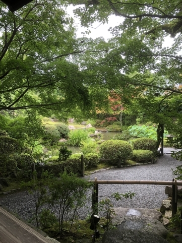 「新発見 妙心寺 退蔵院」