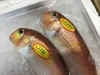 「魚魚市場鮮魚コーナーおすすめは「キンメダイ」です♪」
