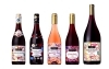 2019 ボジョレー ヌー ヴォ―受付開始 | 酒卸 山田販売店のニュース