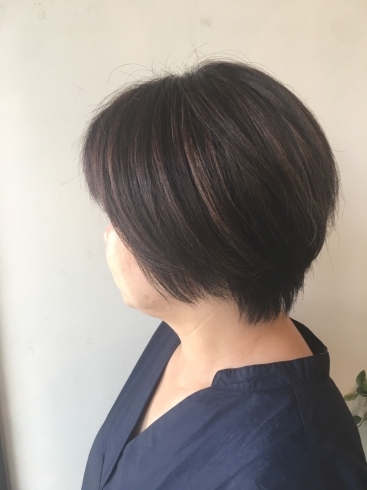 「夏はショートヘアばかりです。」