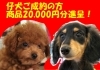 「ボーナスセール開催‼」