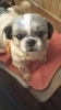 「るなちゃん、今日も元気に出勤してます♪」