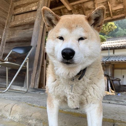 「モテ期(・∀・)ｷﾀ!!」