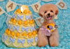 「Anniversary　photo　(*^-^*)」