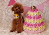 「Anniversary photo　&　お知らせ　(*^-^*)」