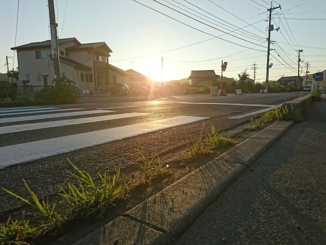 「今月もゴミゼロ開催いたします^ ^」