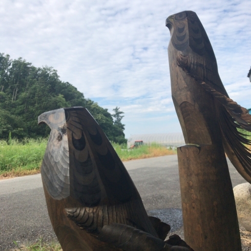 「行き場の失ったお鷹ぽっぽをリメイクする」