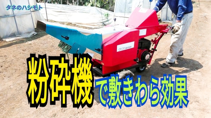 「夏場のナスの管理作業　粉砕機を駆使して効率向上　タネのハシモト」