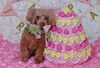 「Anniversary　photo　(*^-^*)」