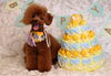 「Anniversary　photo　(*^-^*)」
