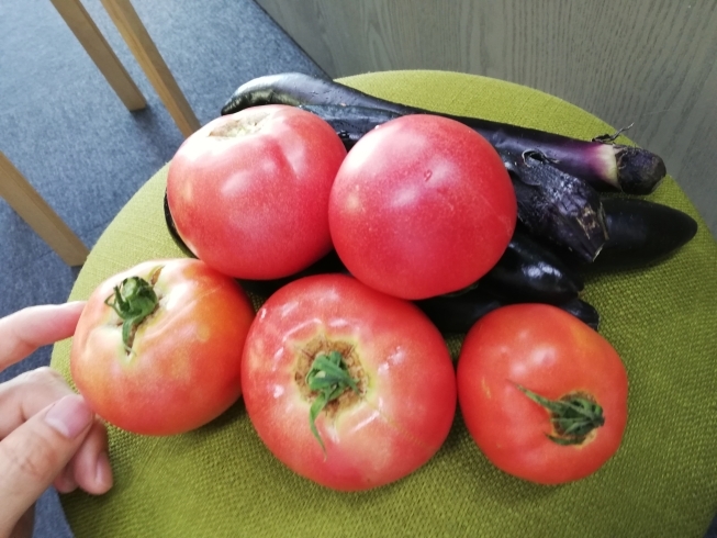 「お客様から、野菜をいただきました♪(*＾▽＾*)」