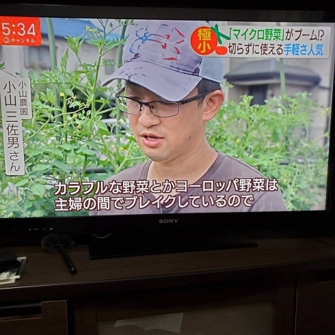 「☆カラフル野菜の小山農園、テレビ朝日、スーパーJチャンネルに登場☆」