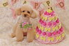「Anniversaryphoto　(*´ω｀*)」