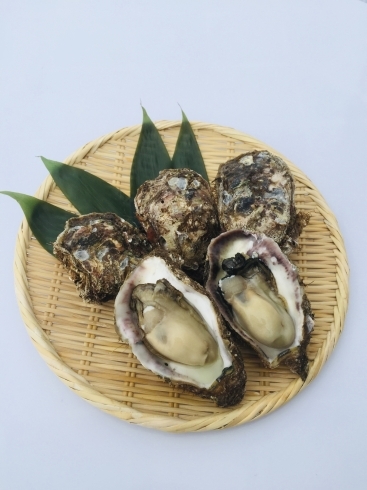 「本日8/25(日)✨夏季限定✨メニュー販売終了✖️のお知らせ！！」