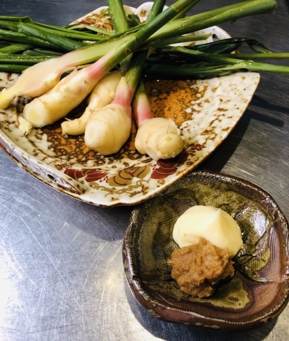 「【胎内市】【居酒屋】葉しょうがの味噌マヨ添え！」