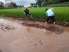 「大雨の後・・・。」