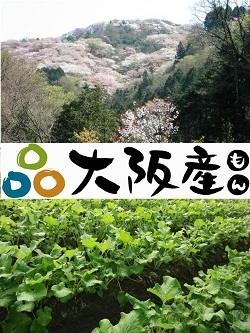 「大阪府中部農と緑の総合事務所」中河内・北河内における農業、農空間、みどり業務を行っています