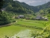 「【綾部の四季折々の風景　「星原の里山」】」