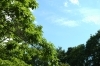 「初夏というには早いような・・・」