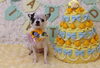 「Anniversaryphoto　(^O^)」