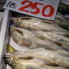 「夏だ！海だ！浜店だー！」