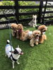 「おはようございます (๑･̑◡･̑๑)」