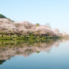 【盛岡】高松の池