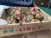 「収穫の秋」