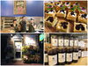 「ブルーベリー専門店『Blue THE Berry（ブルーザベリー）』さんをオープン前日に訪問☆［JR亀有駅北口より徒歩3分］」