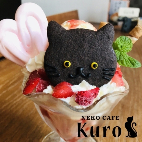 「猫カフェKuro 新メニューだニャ！」