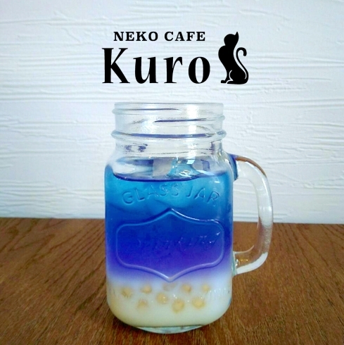 「猫カフェKuro タピオカドリンクの新メニューだニャ！その１」