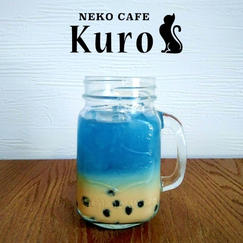 「猫カフェKuro タピオカ新メニューだニャ！その２」