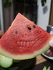 「夏のある日(笑)(*σ>∀<)σ」